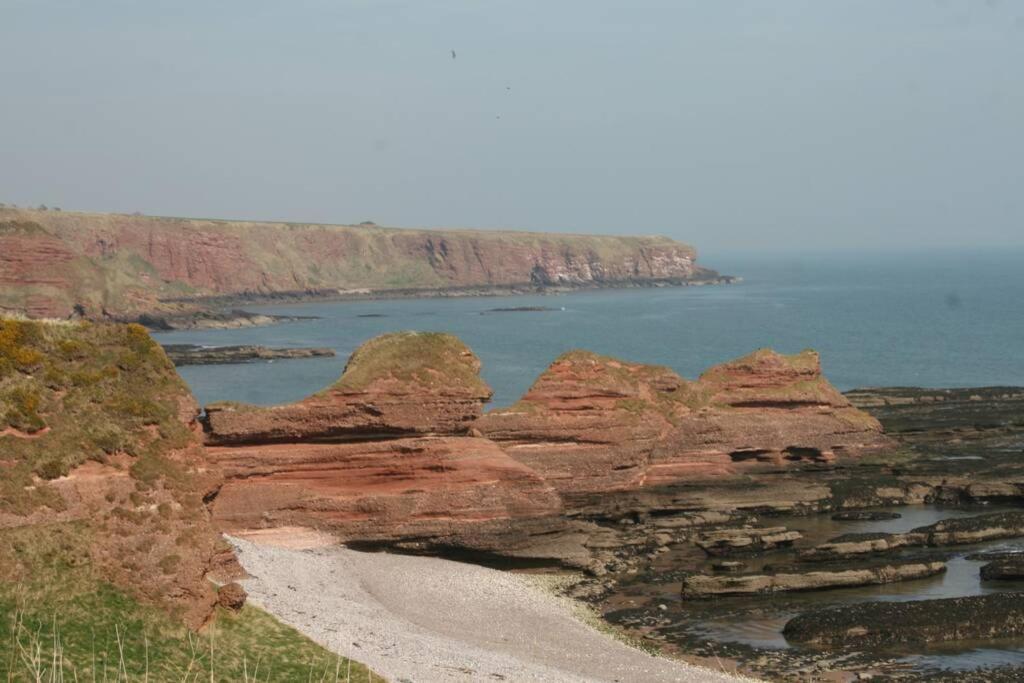 شقة Bell Rock View Arbroath أنغوس المظهر الخارجي الصورة