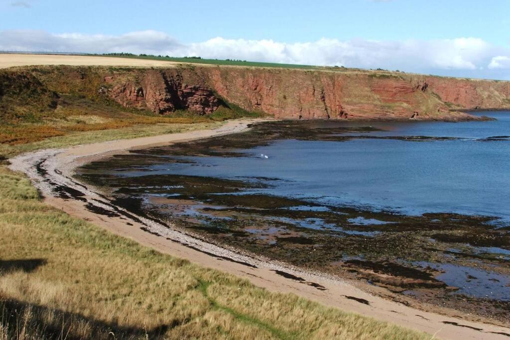 شقة Bell Rock View Arbroath أنغوس المظهر الخارجي الصورة
